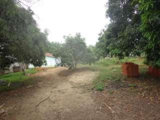 Terreno