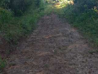 Excelente fazenda com 10.5 alqueires em Cunha-SP
