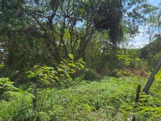 Terreno