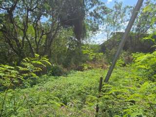Terreno