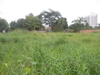 Terreno