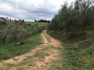 Sitio