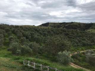 Sitio