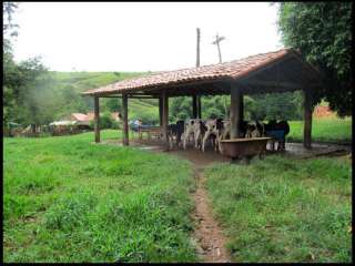 Fazenda