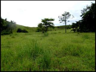 Fazenda