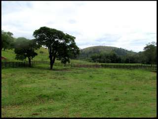 Fazenda