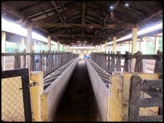 Fazenda
